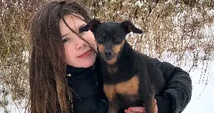 Garde de chien à Frontignan : les meilleures solutions pour votre animal de compagnie