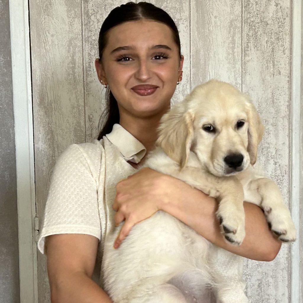 Garde de chien à Ris-Orangis : les meilleures solutions pour votre animal de compagnie